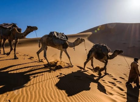 3 Days Sahara Desert Tour from Marrakech to Fes