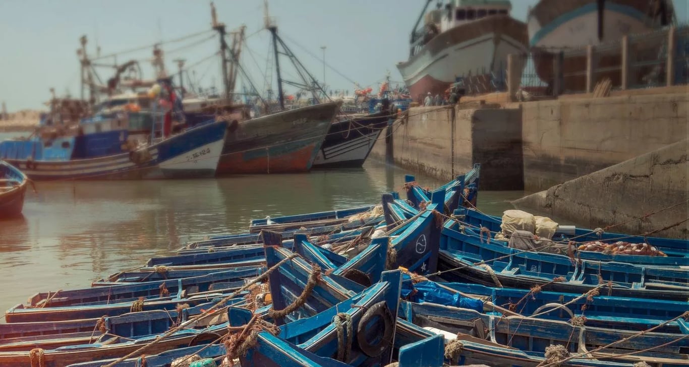 Morocco: Marrakech and the Coast