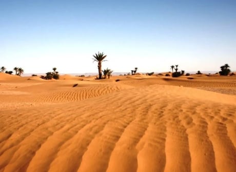 6-Day Private Morocco Tour: Casablanca to Marrakech, Exploring Chefchaouen, Fes, & Sahara