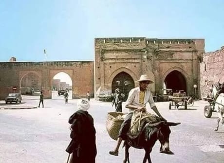 Morocco Discovery: Private 8-Day from Marrakech to Tangier
