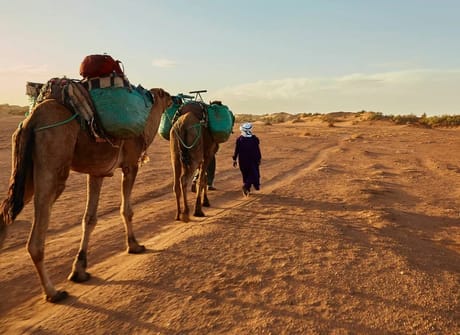 From Agadir: 7 Day Private Tour via Essaouira, Marrakech & The Sahara Desert