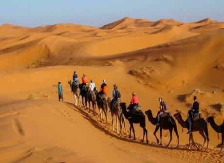 8-Day VIP Escorted Morocco All-inclusive Luxury Tour