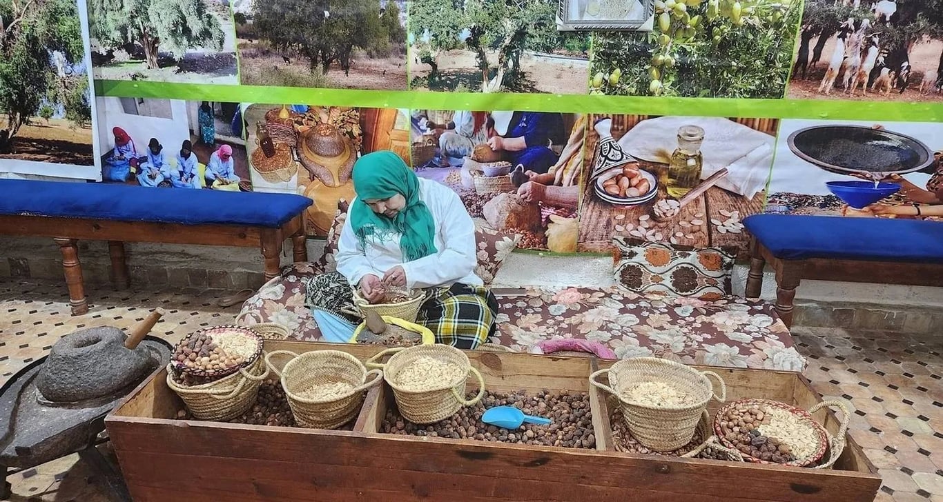 7 Days Morocco Tours From Tangier