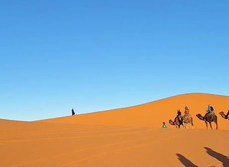 Moroccan Desert Adventure: River Canyons & Camels