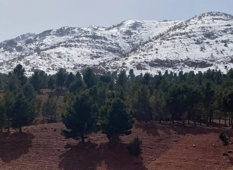 5 Days tour from Tangier to Casablanca