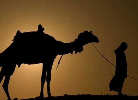 Morocco Sahara Camel Caravan Expedition