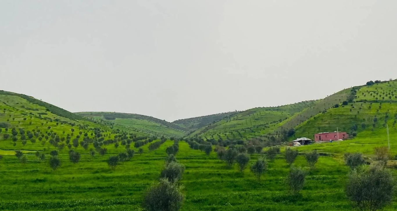 6 Days Private tour from Casablanca to Marrakech visiting Chefchaouen, Fes and Sahara desert