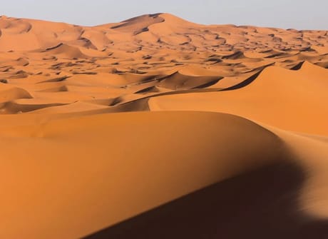 Totally Morocco Tour from Fez