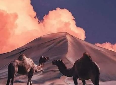 “8-Day Private Morocco Tour: Tangier to Casablanca”