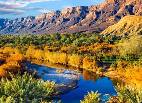 9-Day Tour: Discovering the Sahara and the Imperial Cities
