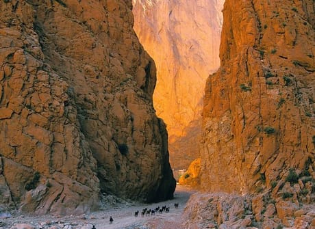 Totally Morocco Tour from Fez