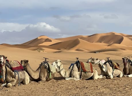 6 Days Best of Morocco