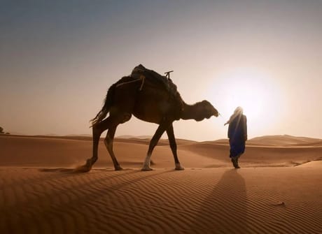 Morocco City, Coast & Desert Adventure for Families – 10 Days