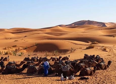 Morocco Kasbahs & Desert