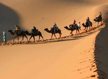 Fez & Desert Magical Tour