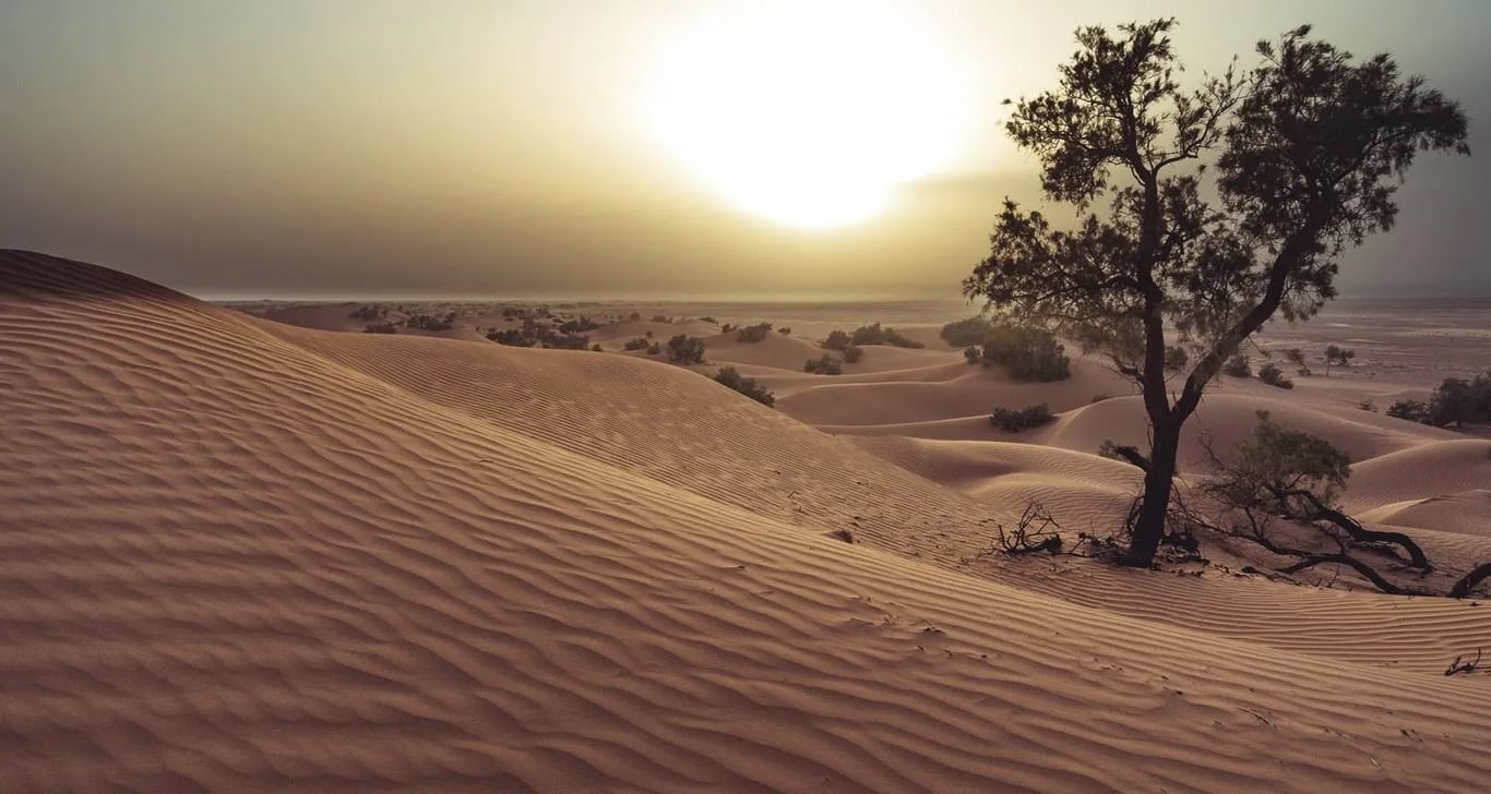 Winter Adventure in Southern Morocco – 10 Days