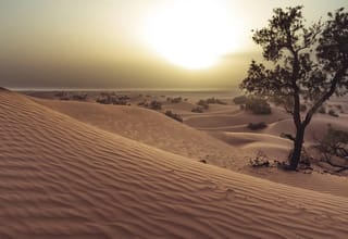 Winter Adventure in Southern Morocco – 10 Days