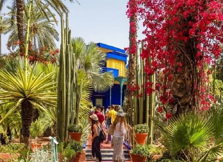 Family Trip to Morocco: Marrakesh, Imlil & Agafay