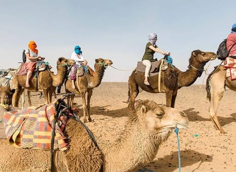 Morocco Tours 8 Days Tour From Casablanca