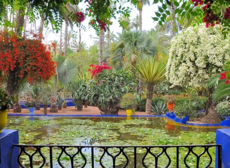 Totally Morocco Tour from Marrakech