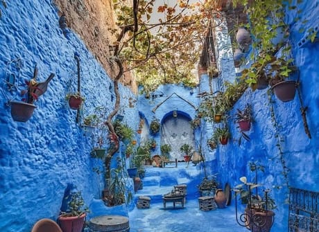 Exotic Morocco (Private Guided tour/ 4 Star Hotels)
