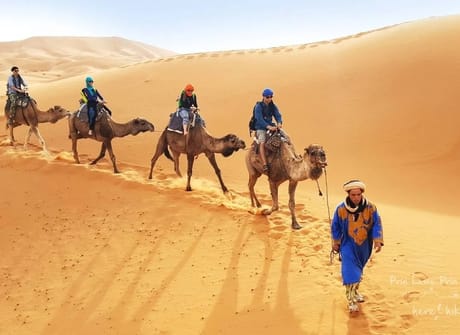 12-Day Majestic Morocco (Guided tour)