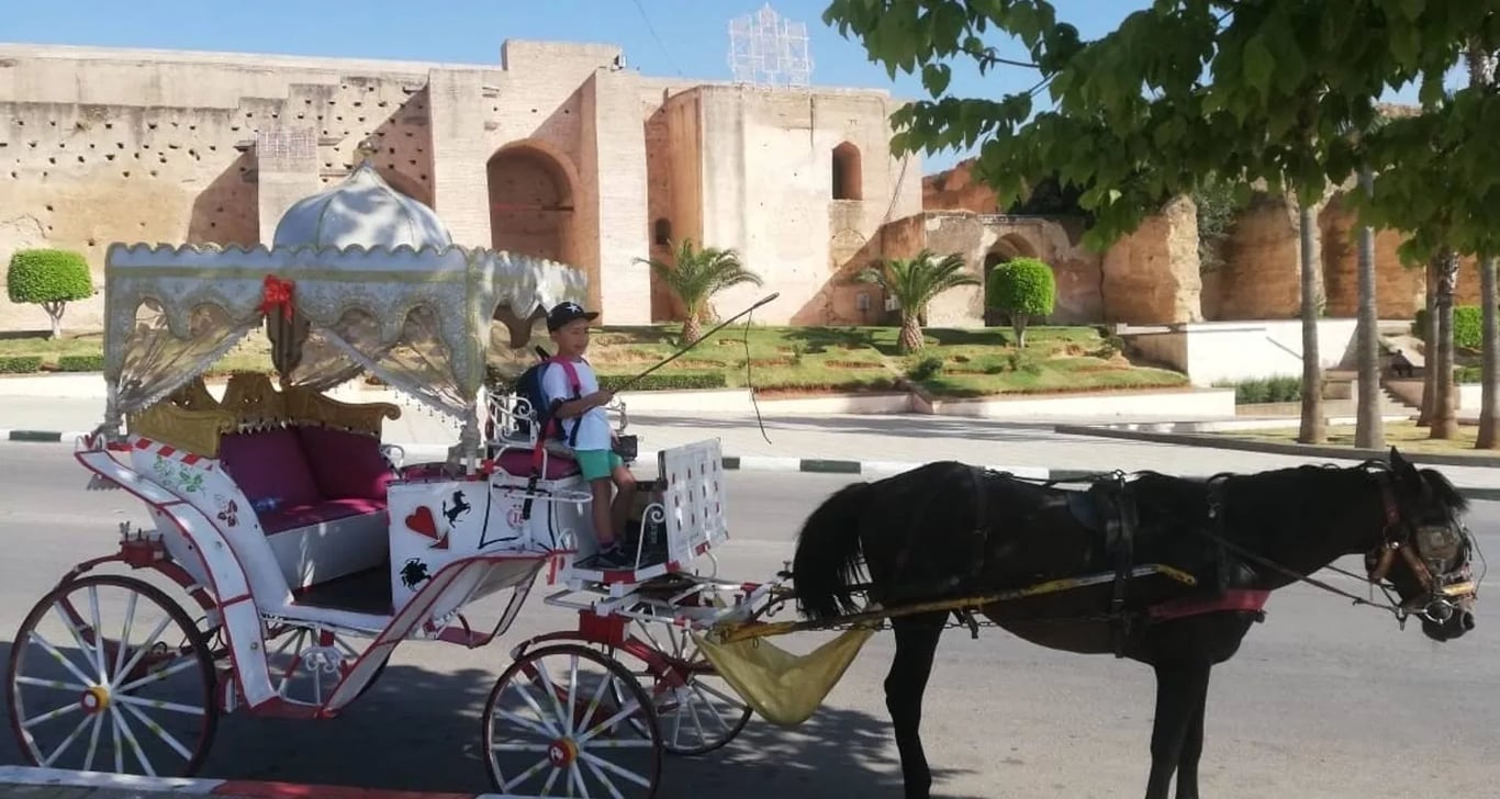 Private 5-day form Tangier to Chefchaouen, Fes, Casablanca, Rabat & Assilah