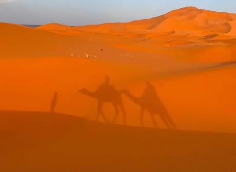 7-Day Private Tour: Casablanca, Chefchaouen, Fes, Desert, Marrakech, and Beyond