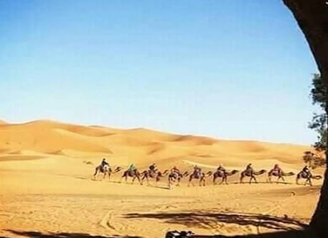 Deluxe 8-Day Private Morocco Tour from Casablanca