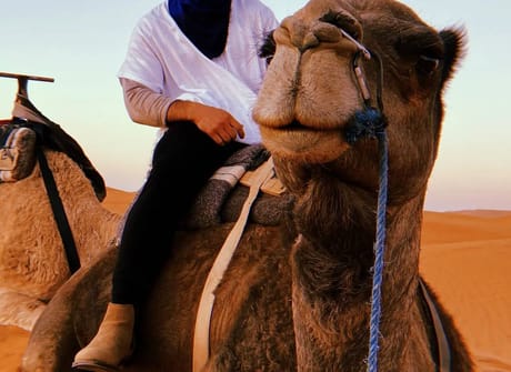 5 Days Private tour from Casablanca to Marrakech visiting Chefchaouen, Fes and Sahara desert