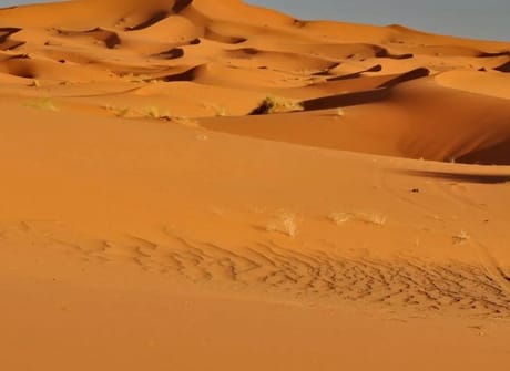 5 Days Private Tour from Casablanca to Marrakech Via Fes, Merzouga Desert & Ouarzazate