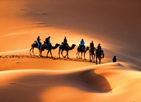 7-Day Private Tour: Casablanca, Chefchaouen, Fes, Desert, Marrakech, and Beyond