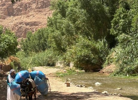 5 Days Sahara Desert Tour from Marrakech