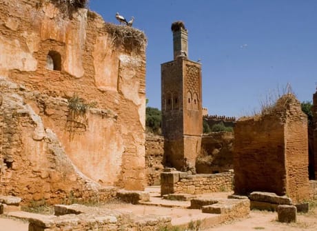 Totally Morocco Tour from Casablanca