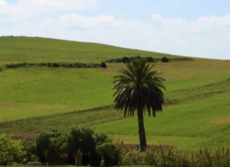 Private tour: Casablanca to Marrakech via Chefchaouen, Fes, and Desert.