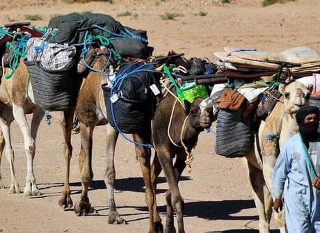 5 Days Caml Trekking From Marrakech
