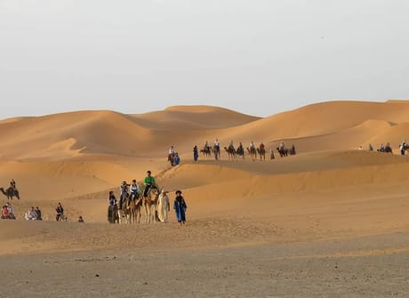 Moroccan Desert Adventure: River Canyons & Camels