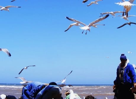 6-Days Private Tour: Marrakech, Essaouira, & Desert trip to Fes