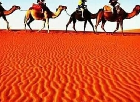 Deluxe 8-Day Private Morocco Tour from Casablanca