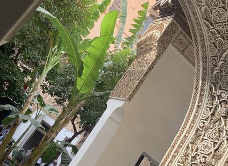 Marrakech and Ouzoud Falls Discovery