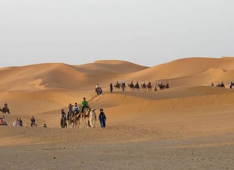 Morocco: Deserts & Beaches
