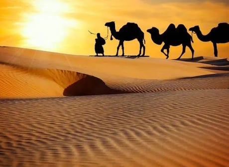 7 Days Private Tour from Agadir to Marrakech