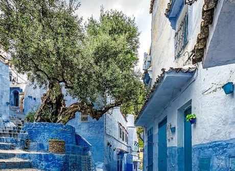 Northern Morocco for Families: Tangier, Chefchaouen & Fes