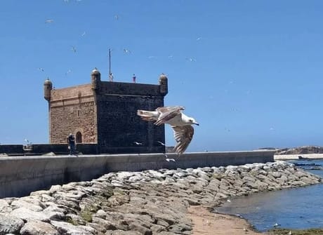 Morocco tour From Casablanca (13 Days / 12 Nights)