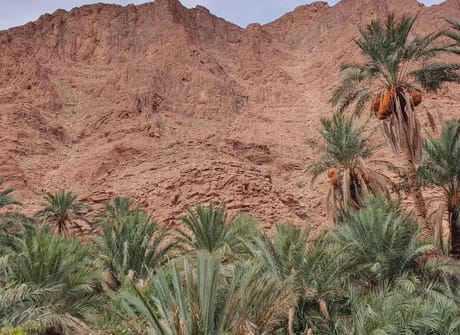 Morocco Discovery – 10 days tour from Marrakech to Casablanca