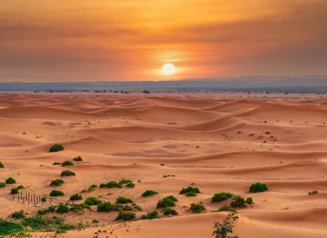 12 Days Tour from Casablanca