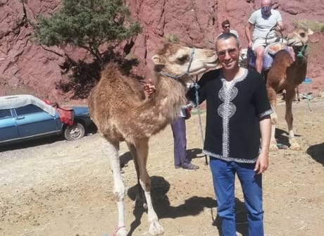 Private tour: Casablanca to Marrakech via Chefchaouen, Fes, and Desert.