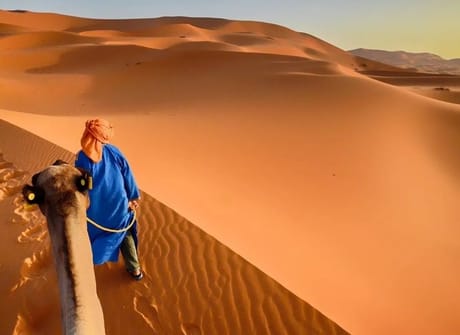 Fez & Desert Magical Tour