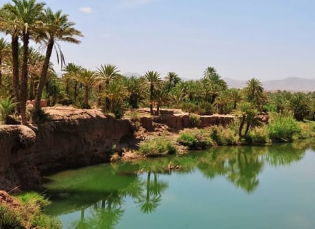 6-Day Private Morocco Tour: Casablanca to Marrakech, Exploring Chefchaouen, Fes, & Sahara