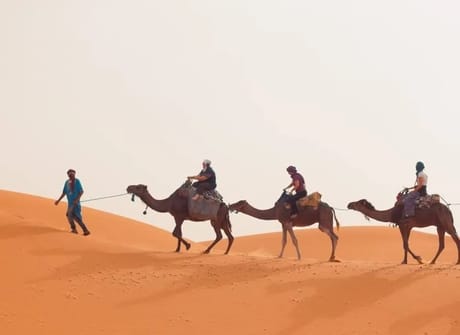 Trip from marrakech to sahara desert: Merzouga, Ait Benhadou, Dades & Todra gorges (3 days)